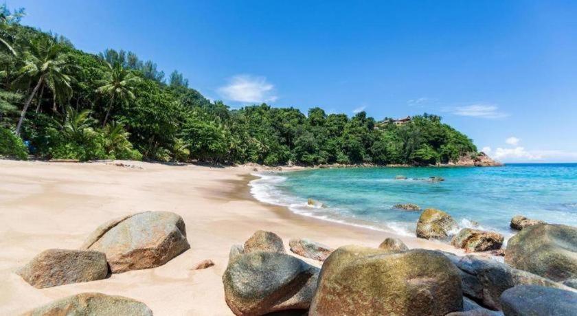 The Patong